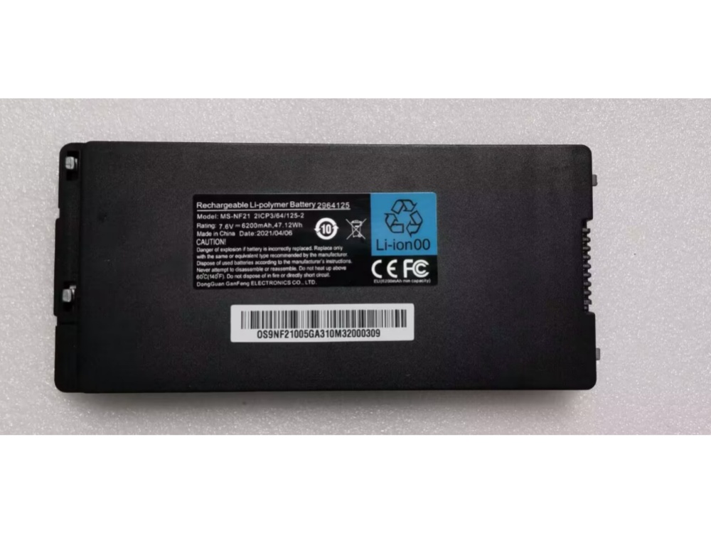 MS-NF21 2ICP3/64/125-2