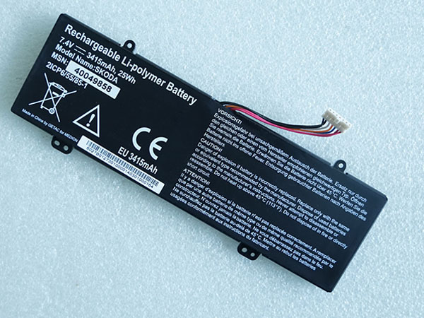 40049858 2ICP6/55/85-1